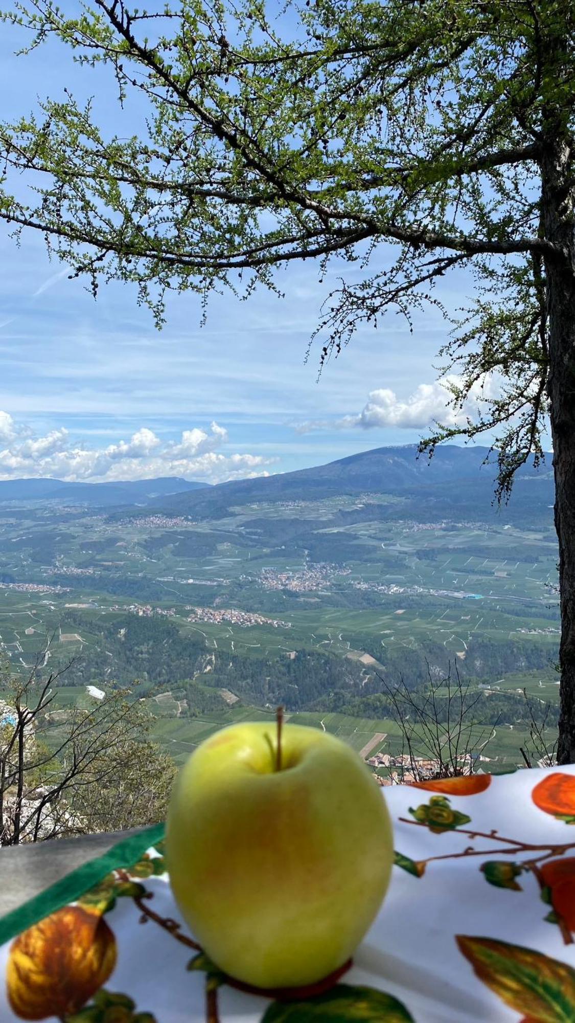 Agritur La Crucola Villa Flavon Bagian luar foto